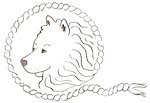 Logo Wollemond